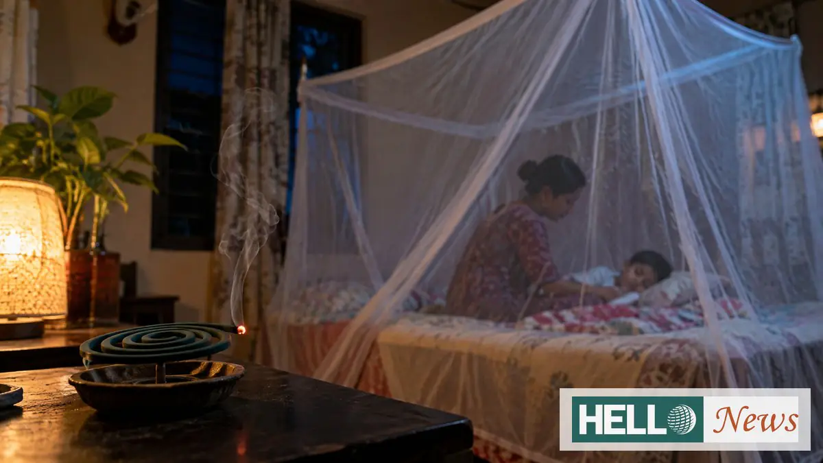 ডেঙ্গু আতঙ্কে তুঙ্গে মশারির কদর: সন্ধ্যা নামলেই ঘরে ঘরে জ্বলছে কয়েল